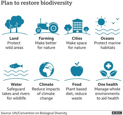 Insights Into Biodiversity Recovery And Its Impact On The Environment