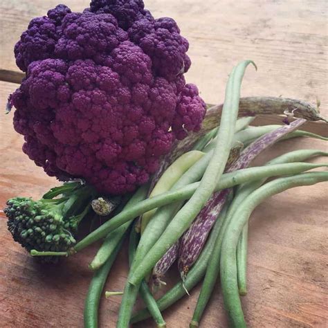 The purple pigment in all these fruits and vegetables contains flavonoids, including resveratrol, that can help lower blood pressure. Purple Vegetables to Make Stunning Harvests | Family Food ...