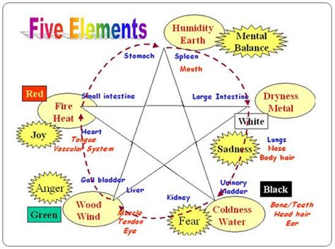 Acupuncture Combined Understand The Metaphysical Five Element