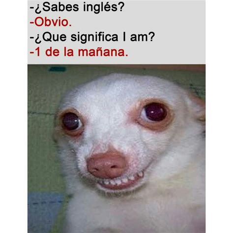 Meme Random 1 Memes Amino Español Amino