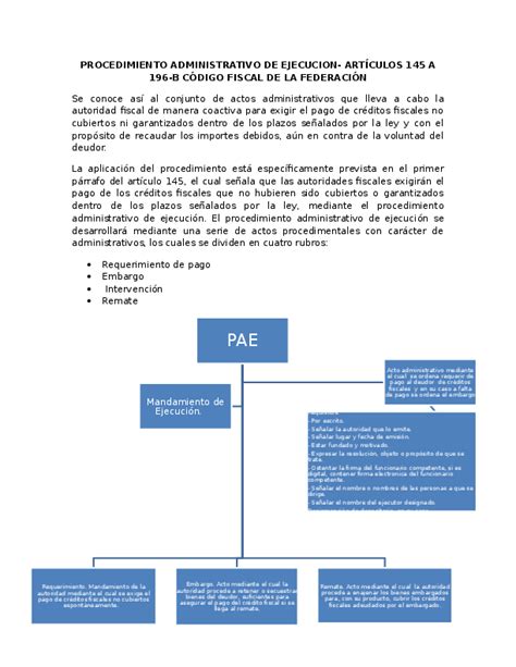 (DOC) Resumen PROCEDIMIENTO ADMINISTRATIVO DE EJECUCION (PAE) | Alejandro Prieto - Academia.edu