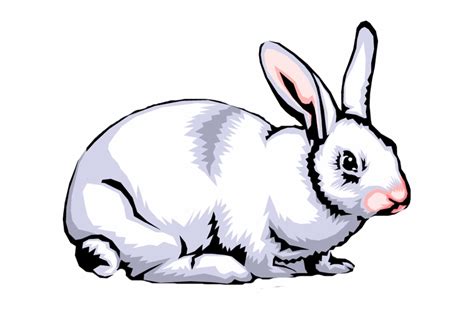 Free Rabbit Clipart Png Download Free Rabbit Clipart Png Png Images