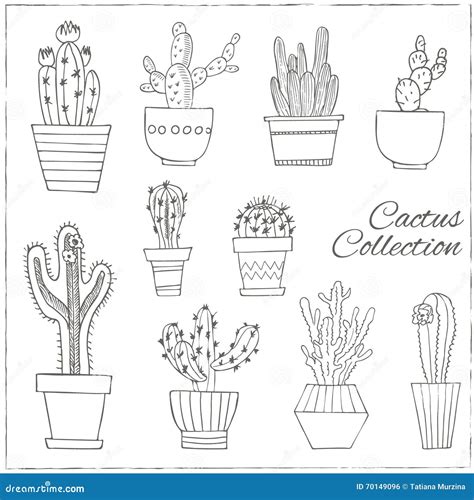 Hand Drawn Set Of Cactus In The Pots Stock Vector Illustration Of