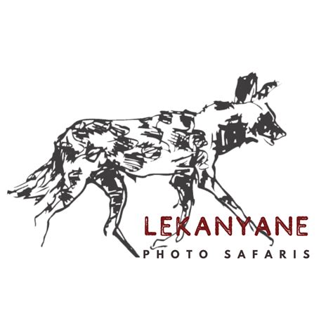 Lekanyane Photo Safaris