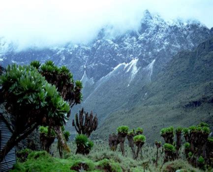Glaciers formed from these mountains are the source of river nile. Uganda safari sights: UNESCO World Heritage sites