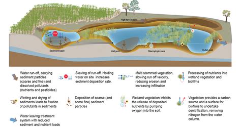 Treatment Wetlands — Key Considerations Department Of Environment And