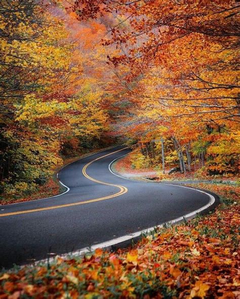 Pin By Pinky Vashisht On Autumn Awsomeness Beautiful Roads