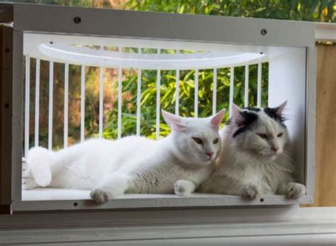 21 cat window box plans. Cat Window Boxes: the Man Caves & She Sheds of Cats ...