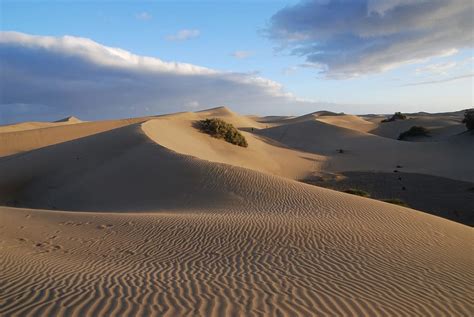 Desert Sand Sand Dunes Canary Island Desert Sand Dunes Sand