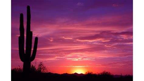 Desert clipart desert sunset, Desert desert sunset ...