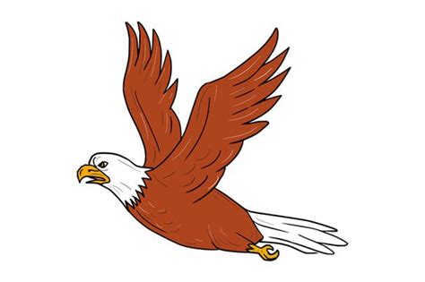 Angry Eagle Flying Cartoon ~ Illustrations ~ Creative Market
