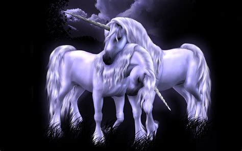 Unicorns Magical Creatures Wallpaper 7841393 Fanpop