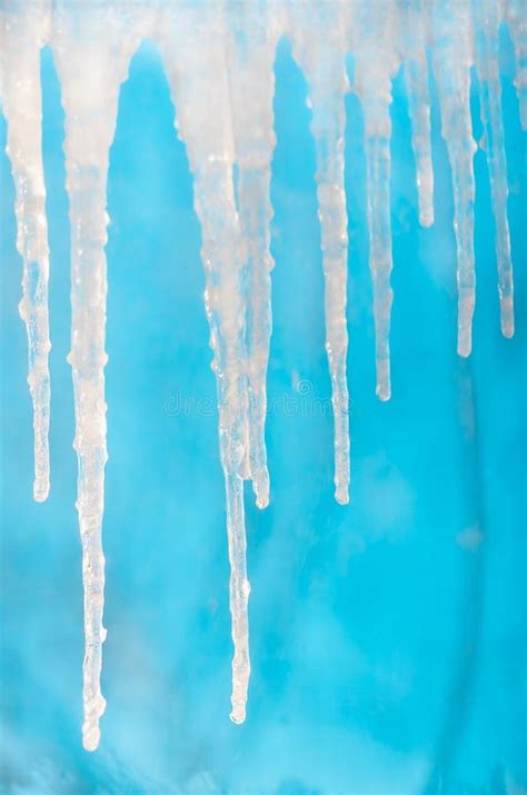 Frozen Icicles In Clear Sunny Against The Blue Sky Stock Image Image