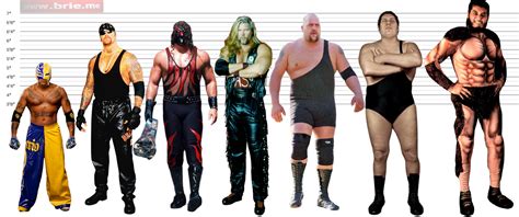 The Undertaker Height Brie