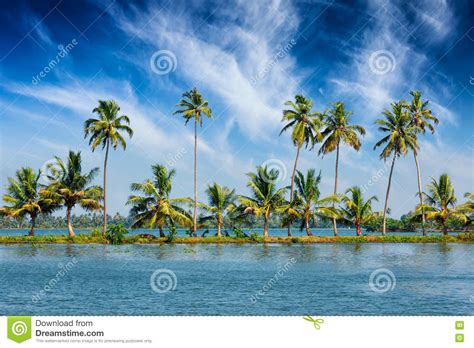Kerala Backwaters With Palms Stock Photo Image Of River Ripple 76525272