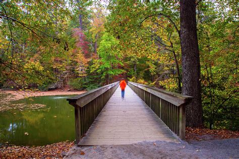 Walking The Noland Trail Bridge In Autumn Photograph By Amy Jackson