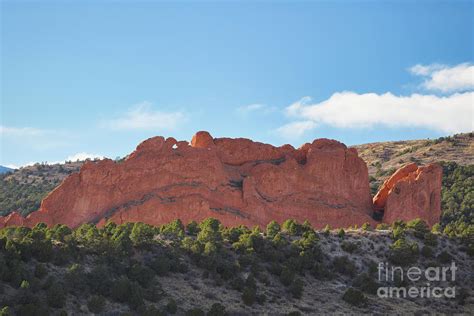 Kissing Camels At The Garden Of The Gods Photograph By Abigail Diane Photography Fine Art America