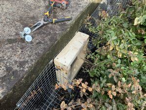 After the skunk family has departed, seal up the entrances beneath the deck and you shouldn't be bothered again. Getting Rid of Skunks From Under your Deck or Shed - Home ...