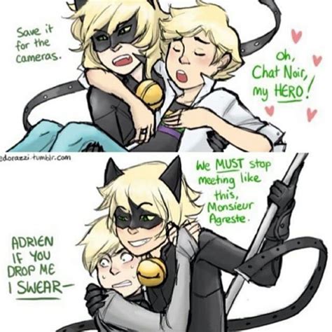 Marichat I Love You Too Silly Kitty 3 Miraculous Ladybug Funny