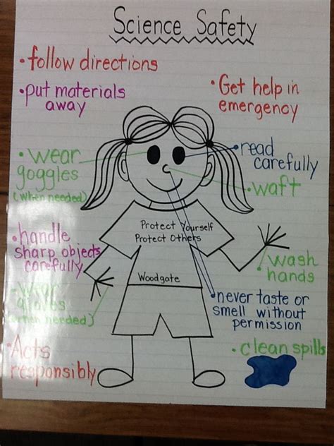 One great way to get students familiar with safety and procedures in the science lab is to have them create lab safety posters to hang in the classroom. My version | Science safety posters, Science safety ...
