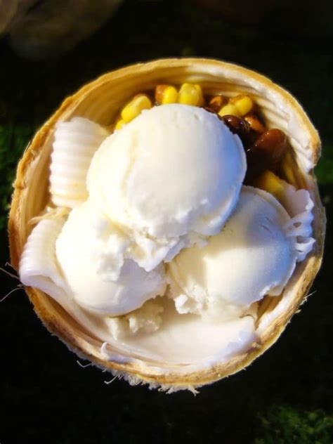 Thai Coconut Ice Cream Recipe How To Make Coconut Ice Cream Premas