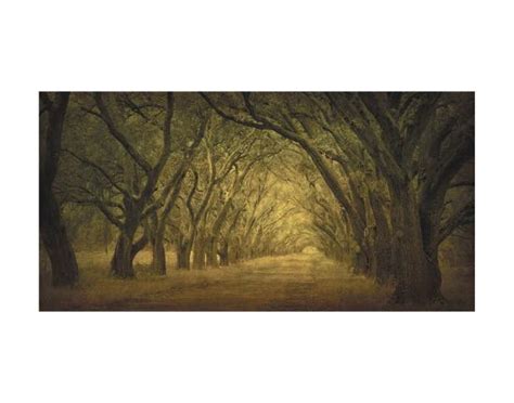 Evergreen New Alley Right Side Art Print William Guion