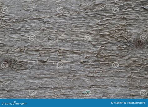 Natural Textured Unfinished Wooden Tree Roots Exposed Stock Photo Image Of Backdrop Grunge