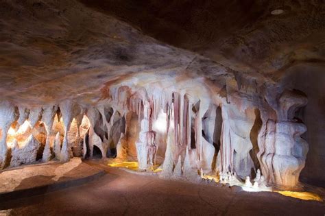 Springbrook Andtamborine Rainforest Tour Incl Glow Worm Cave