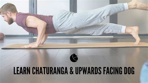 8 Mins Learn Chaturanga And Upward Facing Dog Yoga For Beginners