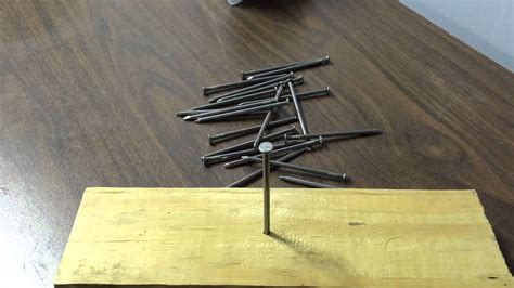 231 652 просмотра 231 тыс. How many nails can you balance on the head of one nail ...
