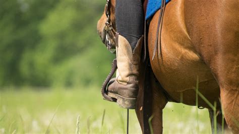 10 Best Horse Riding Boots For Women And Men Reviewed Equineigh