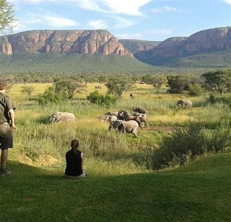 the 10 best things to do in limpopo province 2021 with photos tripadvisor
