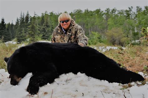 Alberta Black Bear Hunt True Life Taxidermy