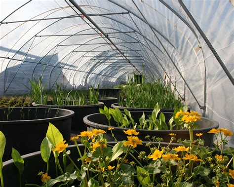 Check spelling or type a new query. Gartenbau Gartendesign Landschaftsgärtner - Rieger Garten ...