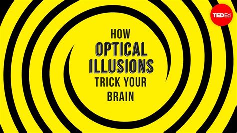 How Optical Illusions Trick Your Brain Nathan S Jacobs
