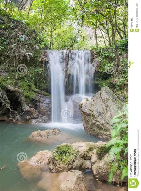 Beautiful Forest Waterfall Stock Image Image Of Free
