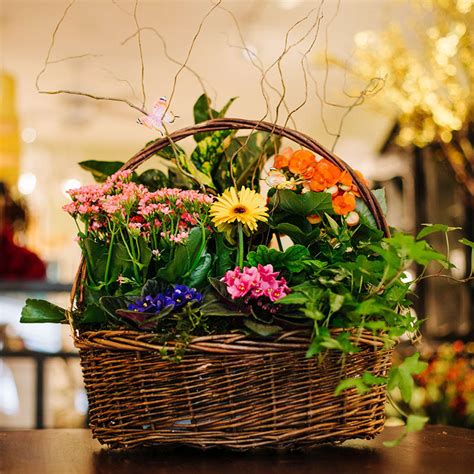 Flowering Plant Basket In Glen Head Ny Glen Head Flower Shop