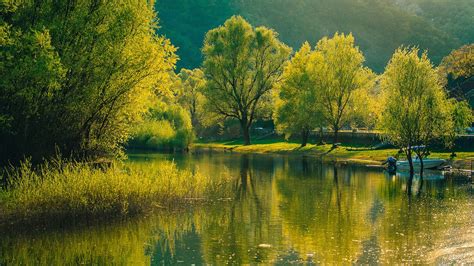 Green Trees Reflection On River Grass Field Mountains Background Hd