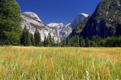 Free Photo Yosemite National Park Landscape Free Image On Pixabay