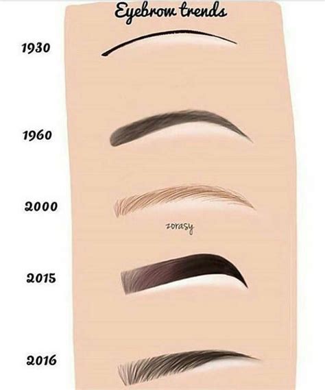 Evolution Of Eyebrows Eyebrow Eyebrowsonfleek Contour Makeup