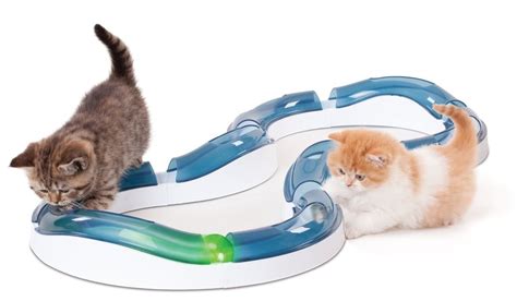 Cat It Design Senses Super Roller Circuit Kitten Ball Toy Chase Play Track 50736 Ebay