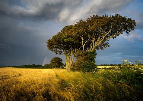 Photo England Nature Sky Fields Trees