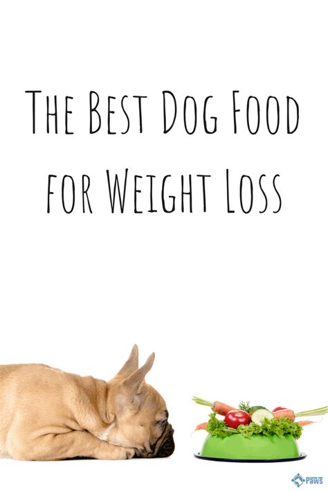 2020s Best Weight Loss Dog Foods For Your Overweight Dog