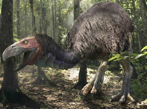 Gastornis 絶滅動物 先史時代 恐竜 イラスト