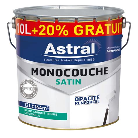 Choisir une peinture en fonction de sa catégorie de prix peinture acrylique noir noir 0 luxens aspect satiné. ASTRAL - Peinture monocouche acrylique intérieur qualité professionnelle - blanc pur satin - pot ...