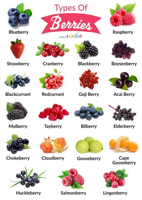 Types Of Berries Types Of Fruit List Of Berries Different Types Of