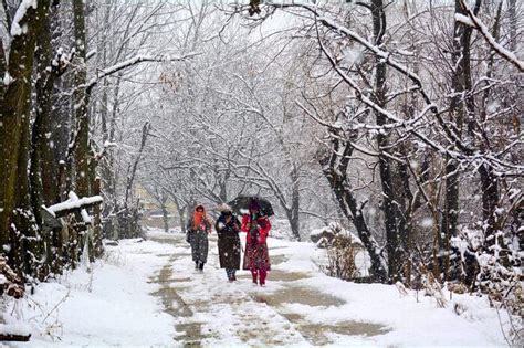 The amount of snow that falls in a single storm or in a given period. Snowfall In Uttarakhand, Himachal Pradesh, And J&K In 2019