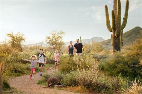 Top 5 Ways To Explore Scottsdales Sonoran Desert