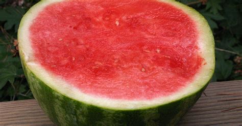 How Are Seedless Watermelons Grown Hometalk