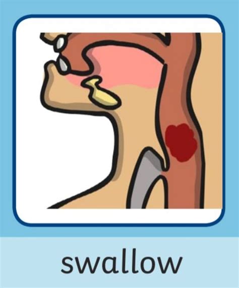 What Is An Oesophagus Twinkl